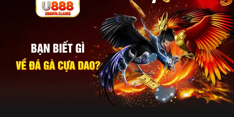 shbet1 SW Xổ Số