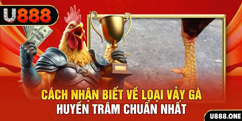 shbet1 đăng nhập nổ hũ số 1