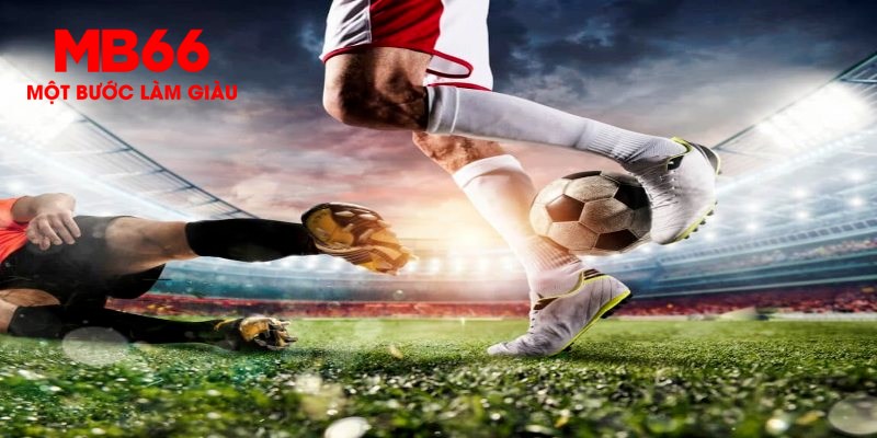 shbet1 trực tiếp đá gà thomo