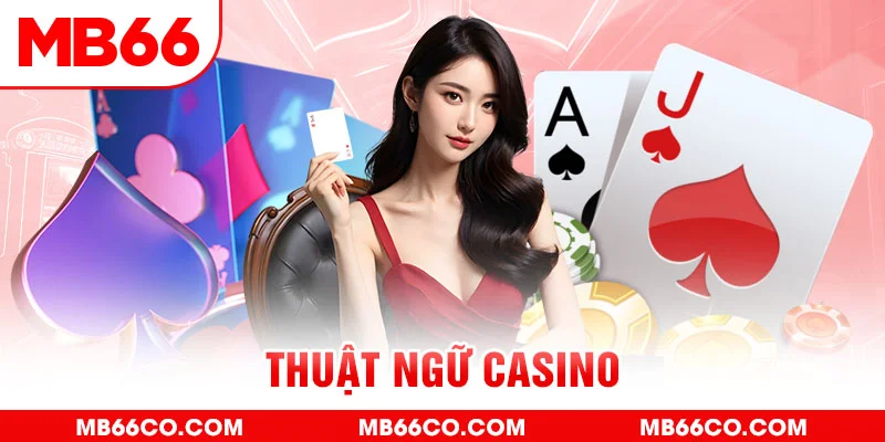 shbet1 gà chọi c1 mới nhất