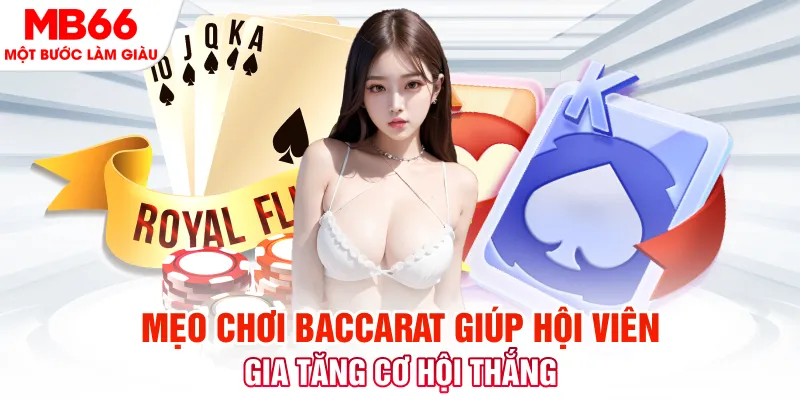 shbet1 đăng nhập nổ hũ trực tiếp