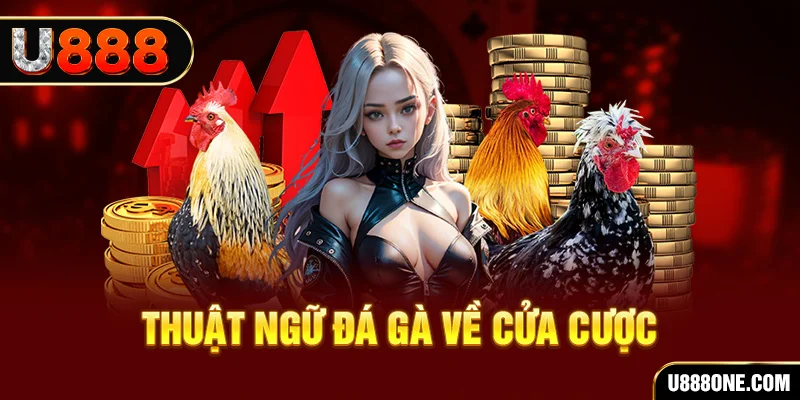 shbet1 hơn cả bạn bè