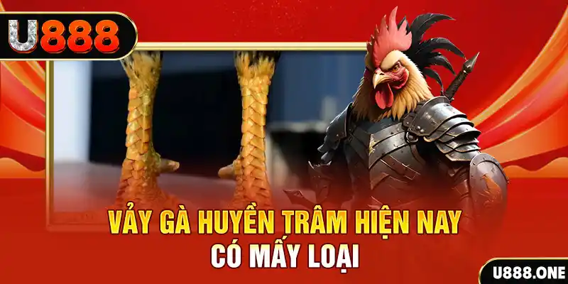 shbet1 xổ số bình định