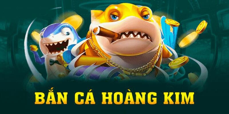 shbet1 gà chọi cậu thanh