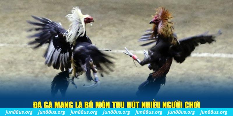 shbet1 nổ hủ nghĩa là gì