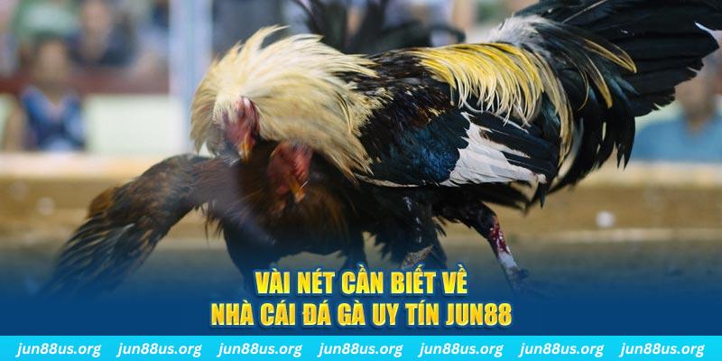 shbet1 đăng nhập phỏm khuyến mãi