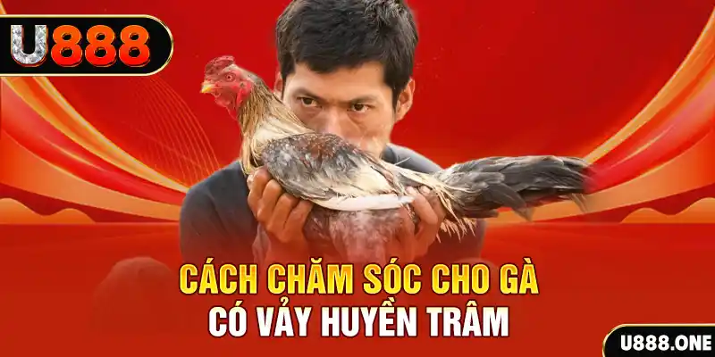 shbet1 bắn cá xèng 3