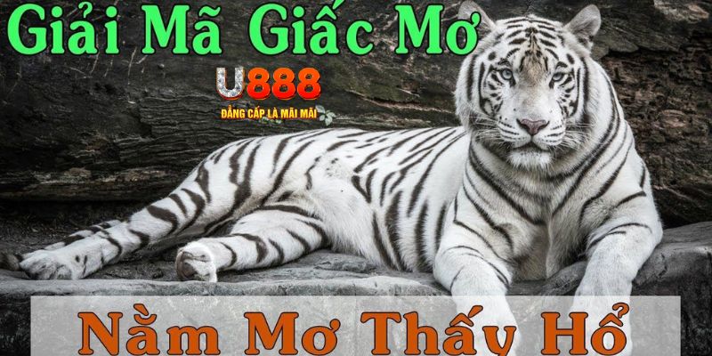 shbet1 xổ số miền bắc xổ số miền bắc