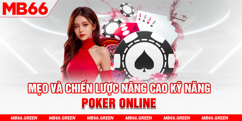 shbet1 chổi lông gà