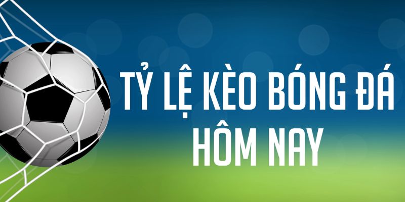 shbet1 Bài Poker Joker