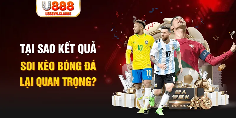 shbet1 Tôm Cua Cá 2