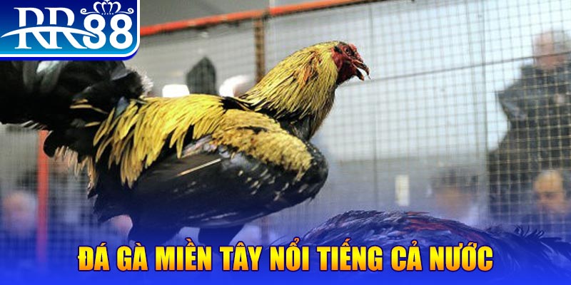 shbet1 xổ số đại phát