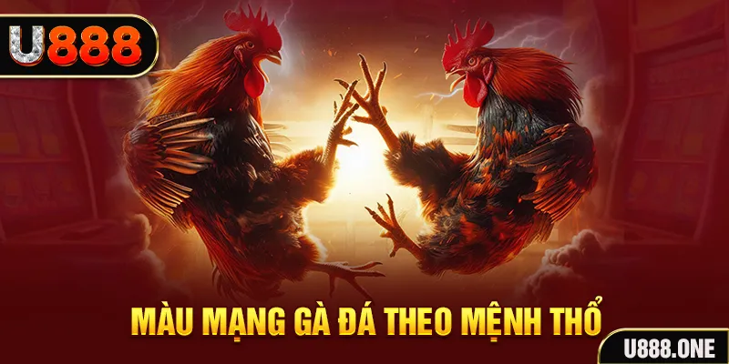 shbet1 đăng nhập sòng bạc hàng đầu