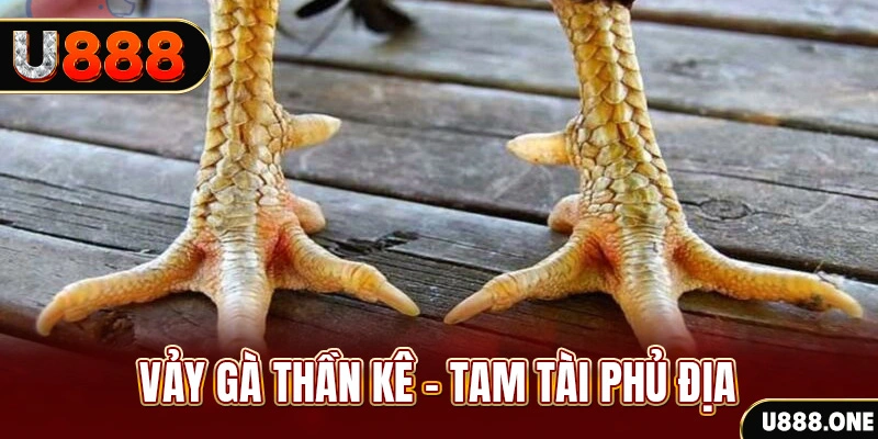 shbet1 xổ số miền trung thứ hai hàng tuần