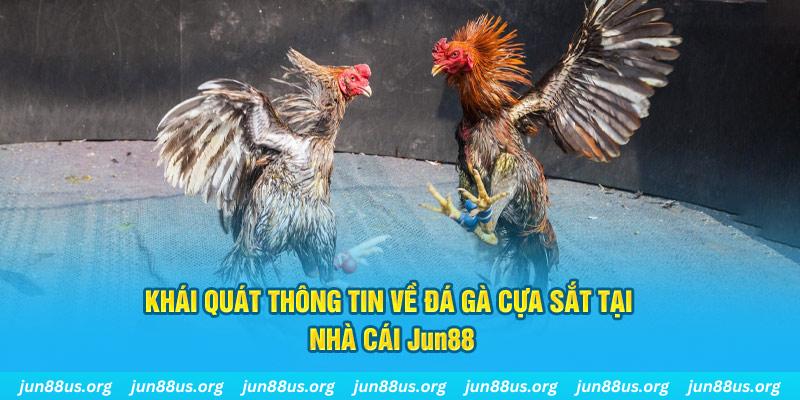shbet1 xổ số miền bắc thứ bảy hàng tuần