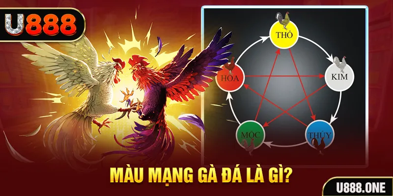 shbet1 xổ số miền trung thứ tư hàng tuần