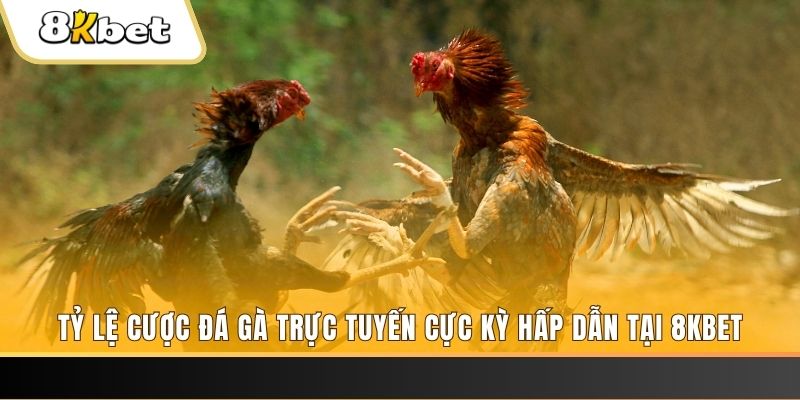 shbet1 đăng nhập nổ hũ trực tuyến