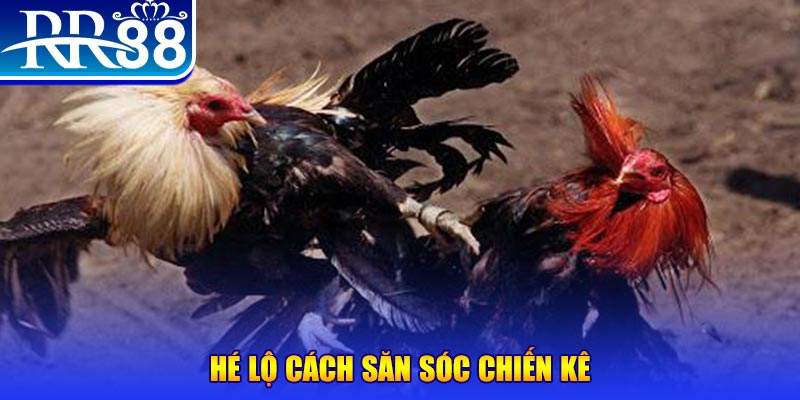 shbet1 xổ số miền trung thứ tư