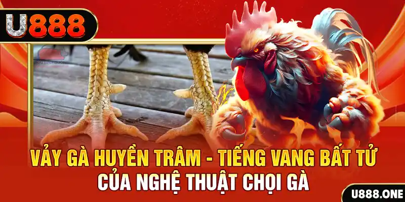 shbet1 Cuộc gọi đã bị ngắt
