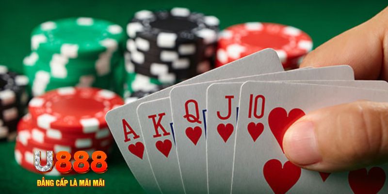 shbet1 đăng nhập sòng bạc trực tiếp