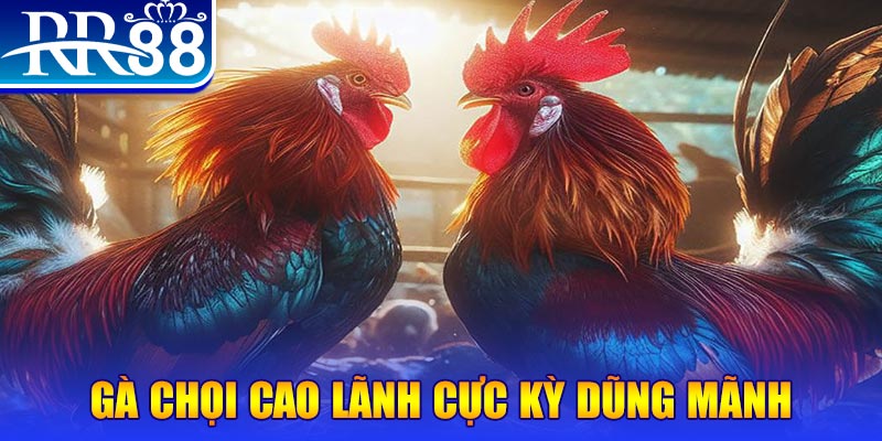 shbet1 HB Điện Tử